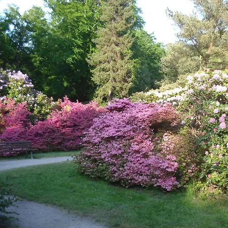 Apartmán Kastanie 59 - Zwischen Ostsee Und Einkaufsmoeglichkeiten Eg *