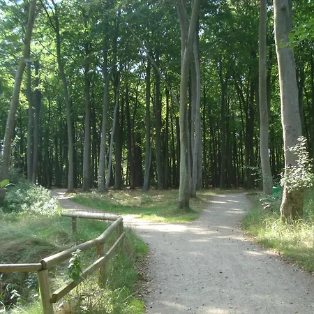 Kastanie 59 - Zwischen Ostsee Und Einkaufsmoeglichkeiten Eg Apartmán Graal-Mueritz